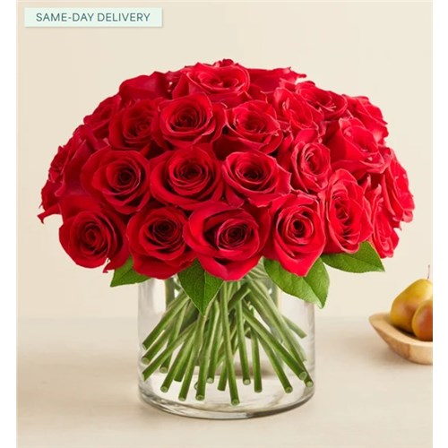 191560_Contemporary_Red_Roses_LG