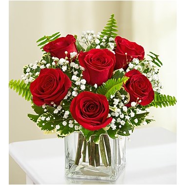 6 Stems Red Love's Embrace™ Roses