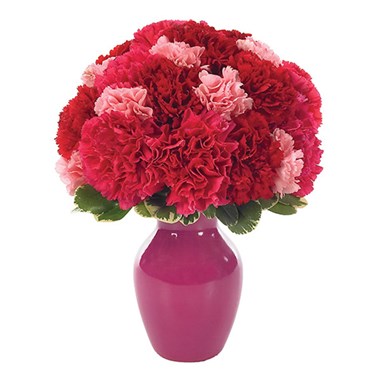 Contemporary Carnations Bud Vase