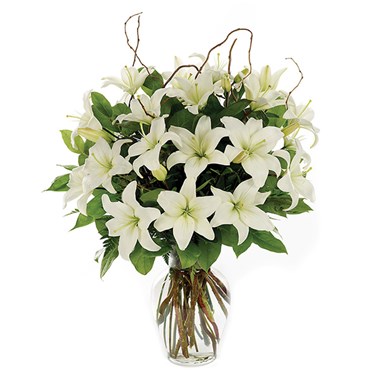 Loving Lilies-White
