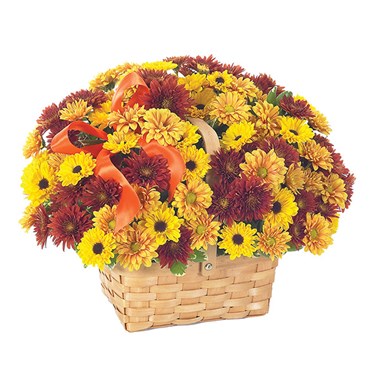 Fresh Fall Daisy Bouquet