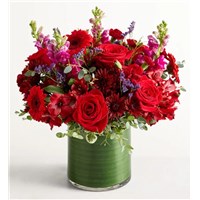 21295_Vivid_Devotion&trade;_LG