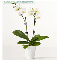 Screenshot_2026-01-16_131707